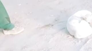 Prank on dog funny video