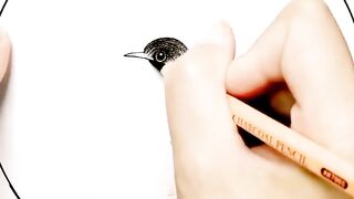 Art video Must watch