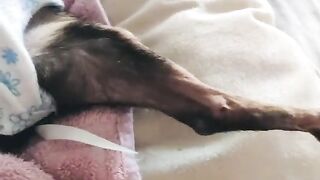 sleeping so sweetly