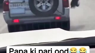 Funny videos ????