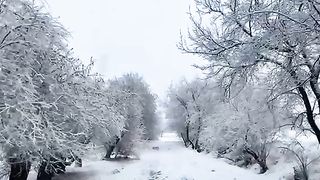 Beautiful