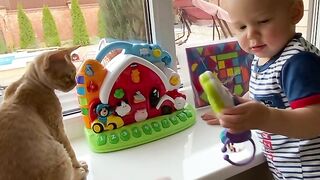 Chaild taking the cat