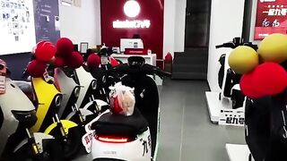 Amazing magical video