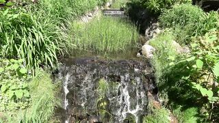 Soothing, Calming and Relaxing Music - Wildlife waterfall Stream water and sounds.