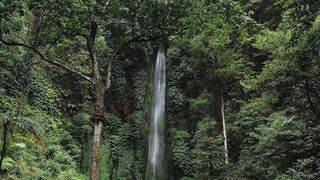 Water fall