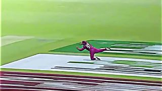 Cricket best catches