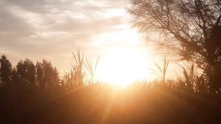 Sun set view in village | Beautiful Nature  | Fields