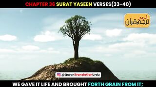 Surat Yaseen Verses 33-40 Urdu Translation