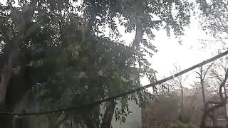 Winter First Raining in Lahore