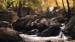 Beautiful nature