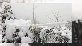 Heavy snow fall in Kashmir