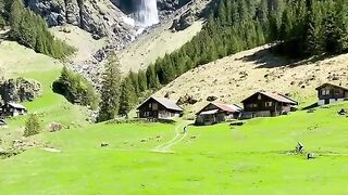 The Nature
