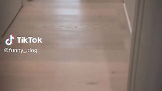 Funny video ????????