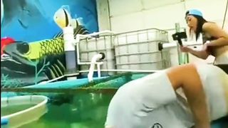 funny videos clips