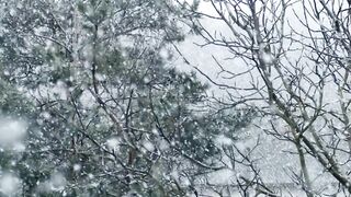 Top 5 Coldest Cities in the World: A Comprehensive Guide"