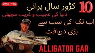 _اب تک کی سب سے بڑی دریافت دنیا کی عجیب و غریب 10 کڑور سال پرانی مچھلی کی دریافت