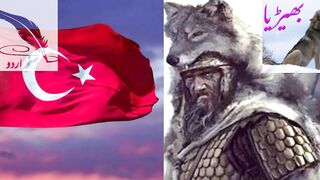 ترک اپنے لیے شیر کے بجائے بھیڑیے کی مثال دینا کیوں پسند کرتے ہیں