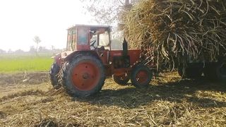 Tractor adventure