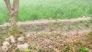 Natural Beauty of Pakistan in Village