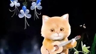funny Cat greating