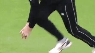 What a Brilliant Catch!