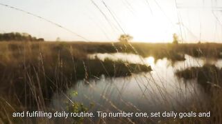 Tips For Daily Routine