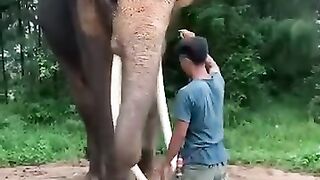 Animal funny scein 2023