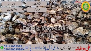 Amla || آملہ || अमला || 00923111033392 || 00923015959598 || Ali Dawakhana || Hakeem Ali Waqas