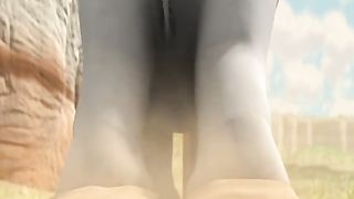 Funny animal video