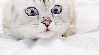 Well, why are you looking like that.
