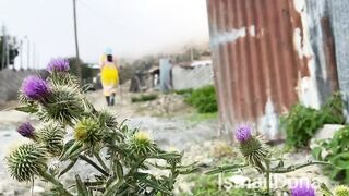 Nomadic women life in Iran Savadkuh mountains daily routine village life of Iran-