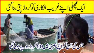 ٹھٹھ:---‏ٹھٹھہ کے ماہی گیروں کے وارے نیارے، 50 کروڑ روپے کی سوہا مچھلی ھاتھ لگ گئی -!!!