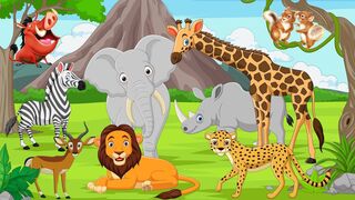 Happy animal moment: zebra, boar, leopard, Antelope, rhinoceros, squirrel, giraffe - Animals sound