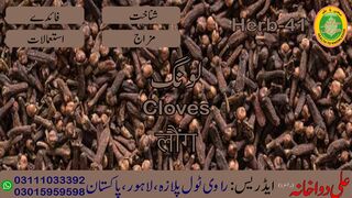 loong || لونگ || लूंग || 00923111033392 || 00923015959598 || Hakeem Ali Waqas || Ali Dawakhana