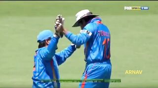 Cricket fans
