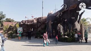 Multi Zoo B17