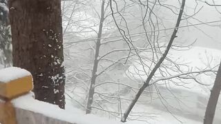Beautiful Nature
