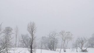 Snow fall