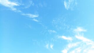 Beautiful. Sky. & Flying Birds