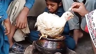 When chicken price hits .....????????????????