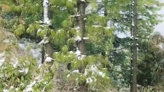 Beauty of northern Pakistan