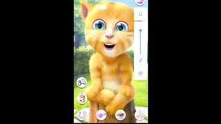 cartoon funny cat video