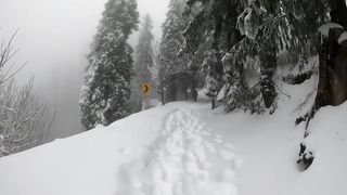 Winter Wonderland