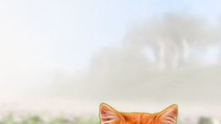 Cute ????