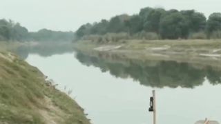 funny videos