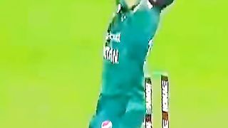 Cricket tik tok vedio