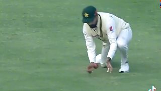 Cricket tik tok vedio