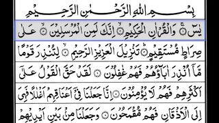Yaseen Surah Full Yasin سورة يس HD Text Voice Read-Along in English Translation Learn Online ????????
