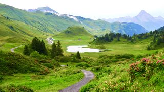 Beautiful Girl in forest, nature landscape, garden,flowers,trees,mountains.piano music,stress relief music video,4k,60