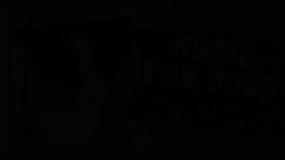 12 hour dog calming music sleep - black screen - with sounds for dogs.